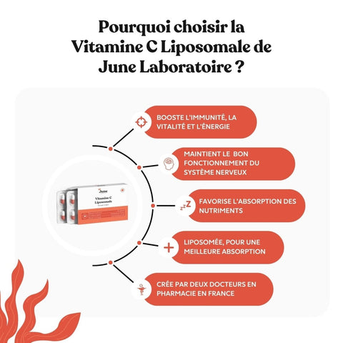 Quelle est la meilleure vitamine C ? - June Laboratoire