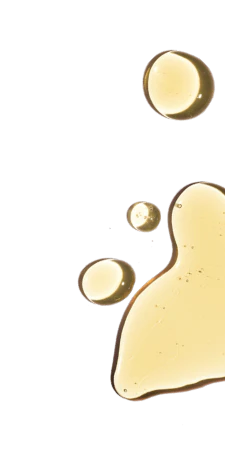 pt-ing-ingredient-image-multivitamin-1.png